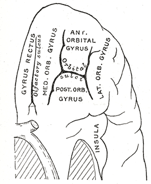 thumbnail of dbpedia resource