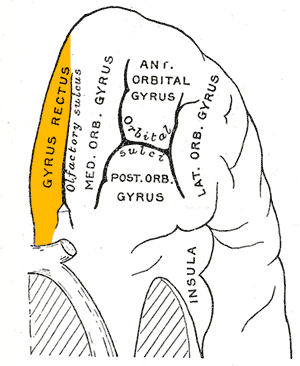 thumbnail of dbpedia resource