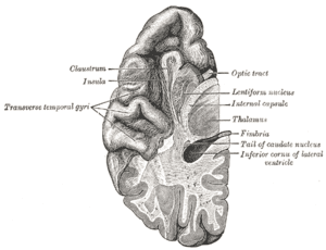 thumbnail of dbpedia resource