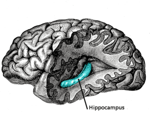 thumbnail of dbpedia resource