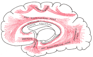 thumbnail of dbpedia resource