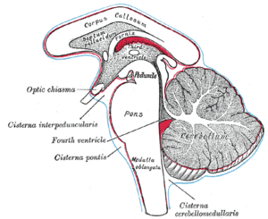 thumbnail of dbpedia resource