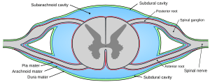 thumbnail of dbpedia resource