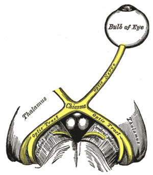 thumbnail of dbpedia resource