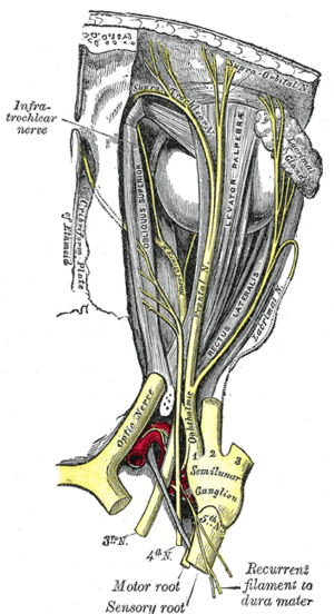 thumbnail of dbpedia resource