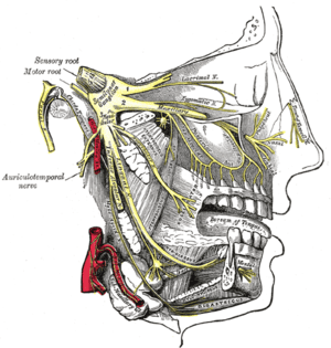 thumbnail of dbpedia resource