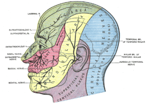 thumbnail of dbpedia resource