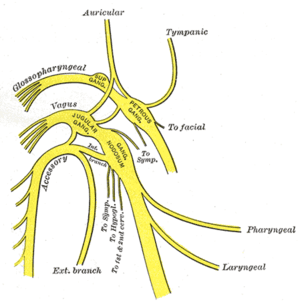 thumbnail of dbpedia resource