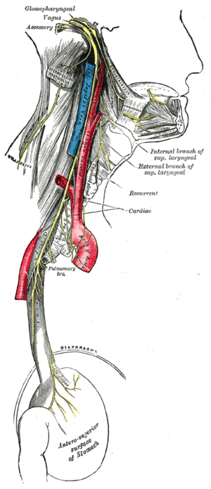 thumbnail of dbpedia resource