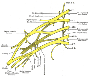 thumbnail of dbpedia resource