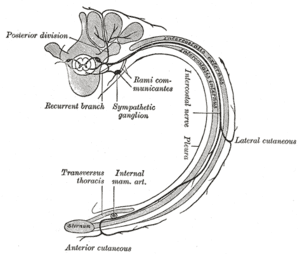 thumbnail of dbpedia resource