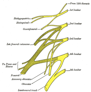 thumbnail of dbpedia resource