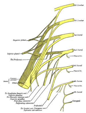 thumbnail of dbpedia resource