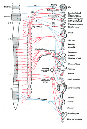 thumbnail of dbpedia resource