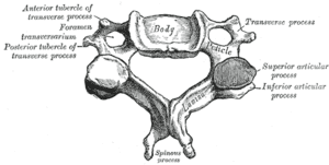 thumbnail of dbpedia resource