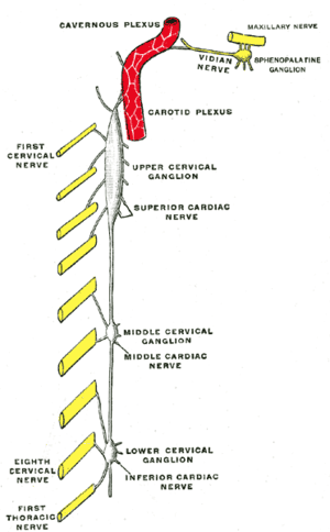 thumbnail of dbpedia resource