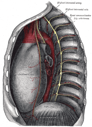 thumbnail of dbpedia resource