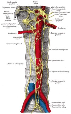 thumbnail of dbpedia resource