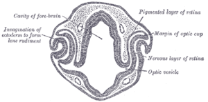 thumbnail of dbpedia resource