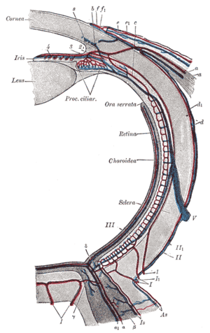 thumbnail of dbpedia resource