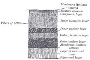 thumbnail of dbpedia resource