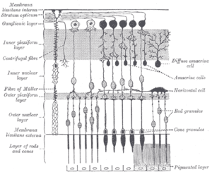 thumbnail of dbpedia resource