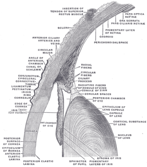 thumbnail of dbpedia resource