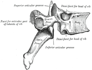 thumbnail of dbpedia resource