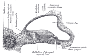 thumbnail of dbpedia resource