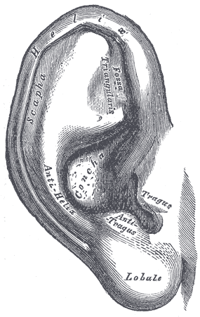 thumbnail of dbpedia resource