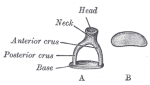 thumbnail of dbpedia resource