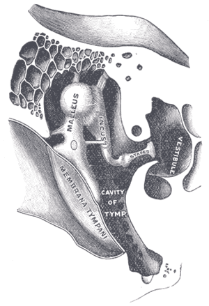 thumbnail of dbpedia resource