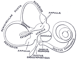 thumbnail of dbpedia resource