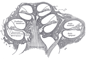 thumbnail of dbpedia resource