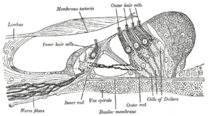 thumbnail of dbpedia resource