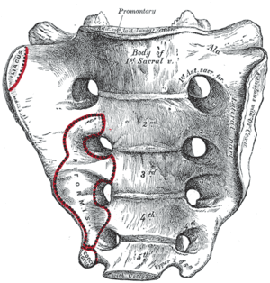 thumbnail of dbpedia resource