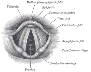 thumbnail of dbpedia resource