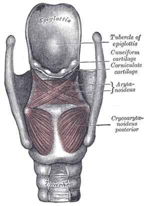 thumbnail of dbpedia resource