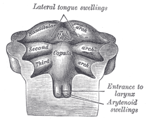 thumbnail of dbpedia resource