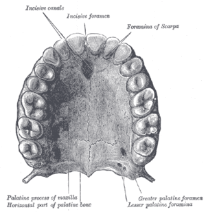 thumbnail of dbpedia resource