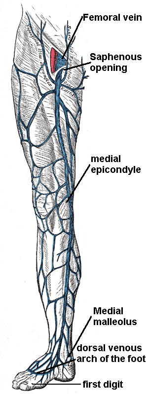 thumbnail of dbpedia resource