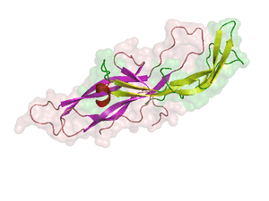 thumbnail of dbpedia resource