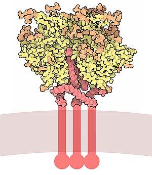 thumbnail of dbpedia resource