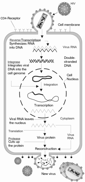 thumbnail of dbpedia resource