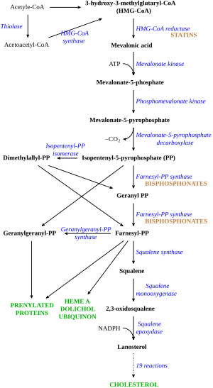 thumbnail of dbpedia resource