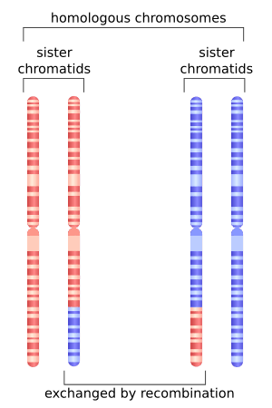 thumbnail of dbpedia resource