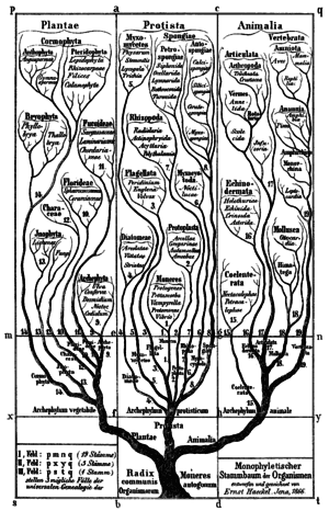 thumbnail of dbpedia resource