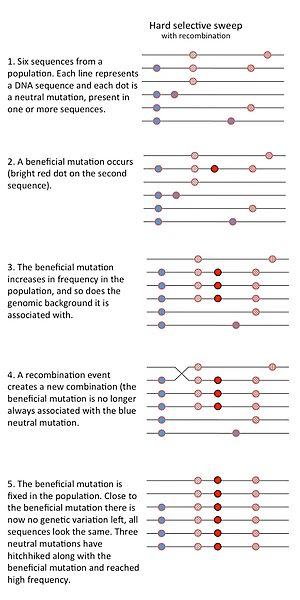 thumbnail of dbpedia resource