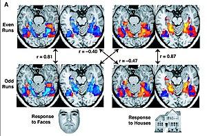 thumbnail of dbpedia resource