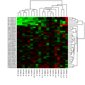 thumbnail of dbpedia resource